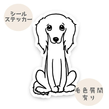 おすわりしてるサルーキさん。34-2