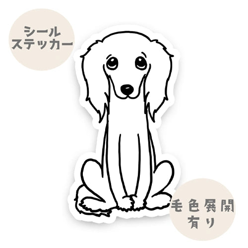 おすわりしてるサルーキさん。34-2