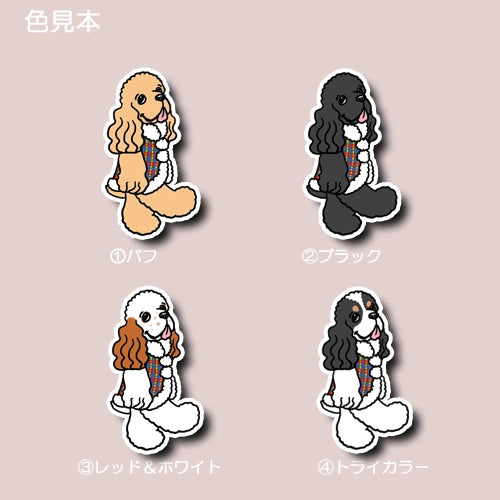 冬のおしゃれなアメコカちゃん。5-24