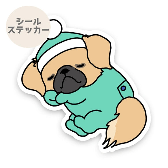 ねむねむチベタンスパニエルちゃん。55-2