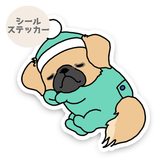 ねむねむチベタンスパニエルちゃん。55-2
