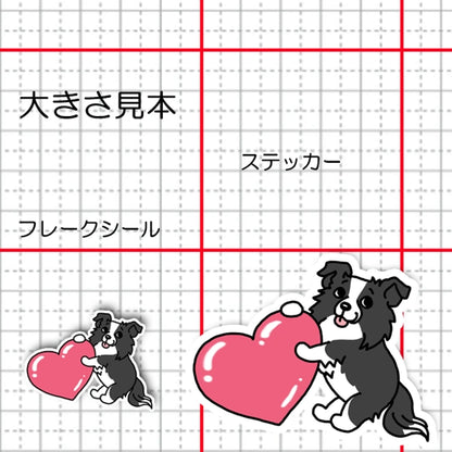 ハートを届けたいボーダーコリーちゃん。106-