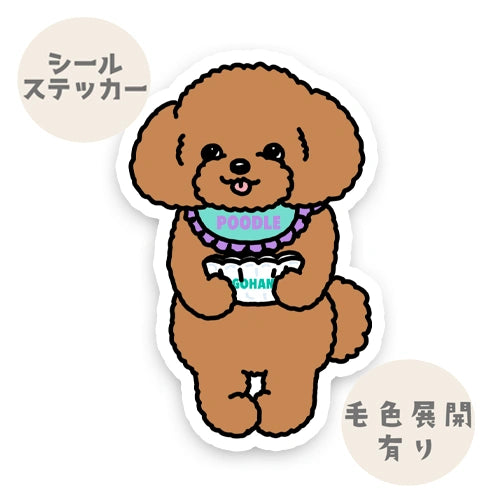 ごはんくださいな～って言ってるプードルちゃん。87-