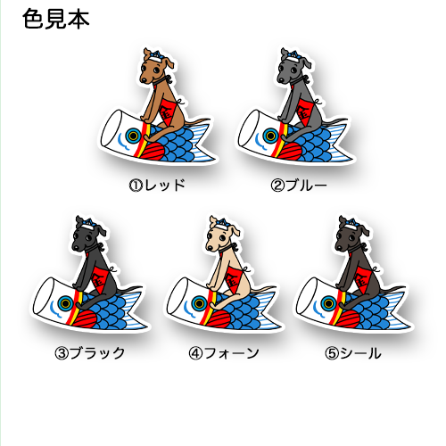 端午の節句のイタグレちゃん。9-