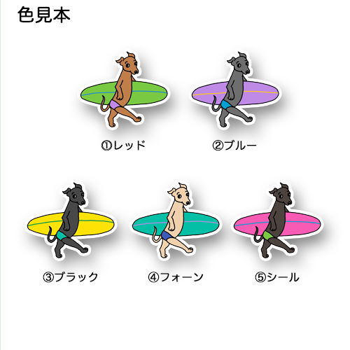 サーファーイタグレちゃん。9-