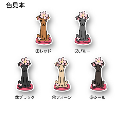 イタグレちゃんの春のご挨拶。9-