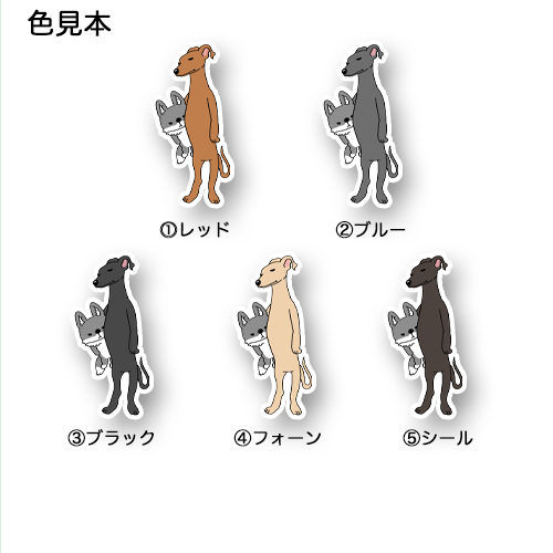 お留守番してるイタグレちゃん。9-9