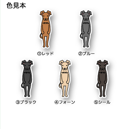イタグレ。9-1