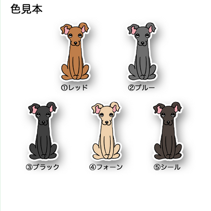 おすわりイタグレちゃん。9-
