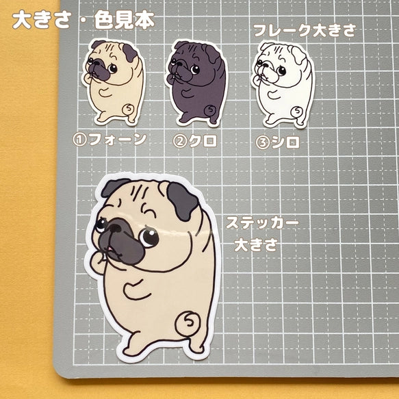 ン？って言ってるパグちゃん。76-