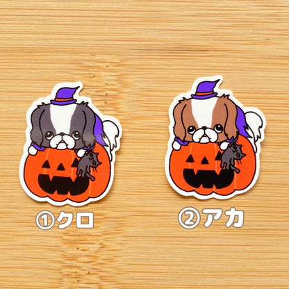 オバケカボチャと狆ちゃん。66-21