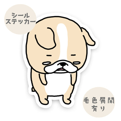 がっかりなフレブルちゃん。96−113