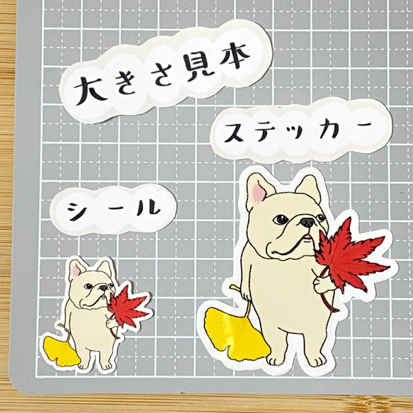 秋色を見つけたフレブルちゃん。96−224
