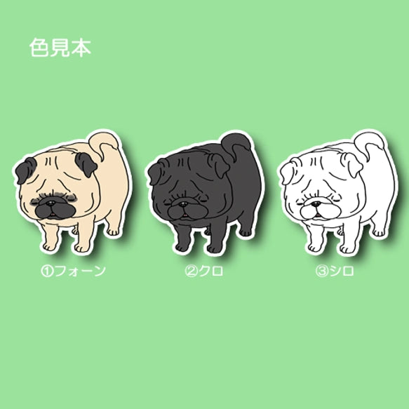 信号待ちでねちゃったパグちゃん。76-