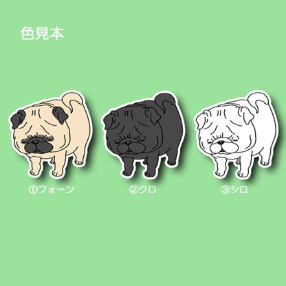 信号待ちでねちゃったパグちゃん。76-