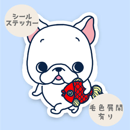 お気に入り金魚とお散歩フレブルちゃん。96−131