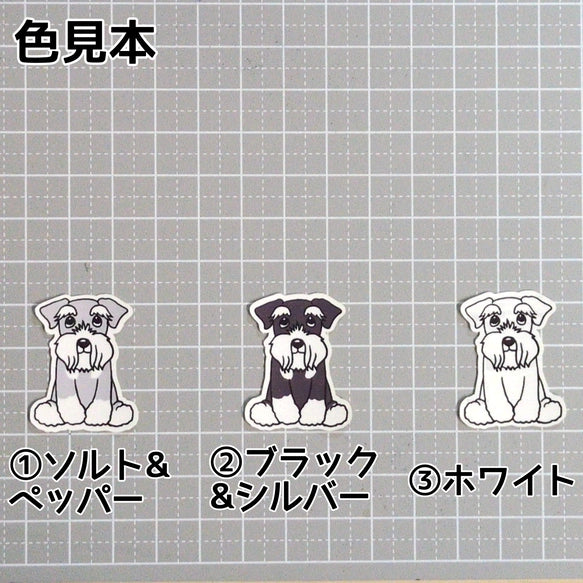 おすわりしてるシュナウザーちゃん。44-2