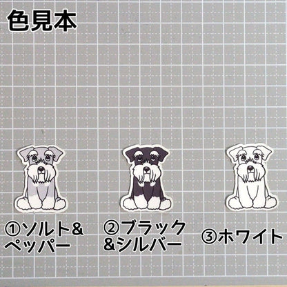 おすわりしてるシュナウザーちゃん。44-2