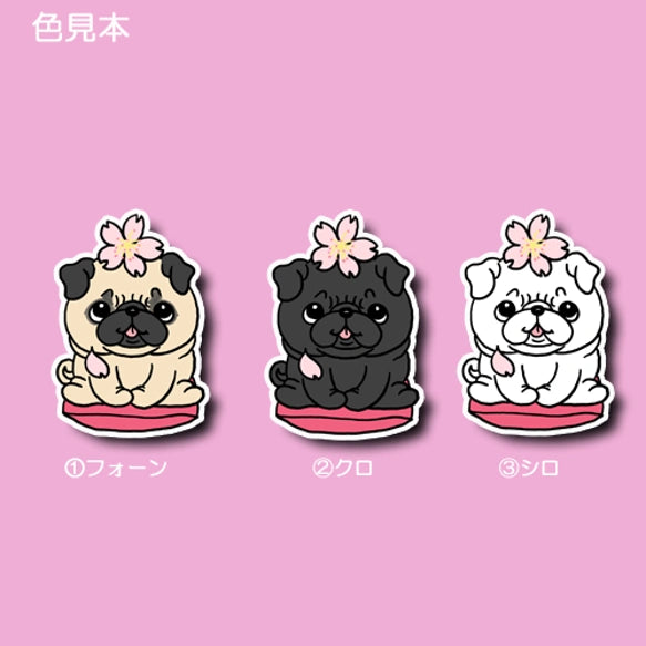 パグちゃんの春のご挨拶。76-