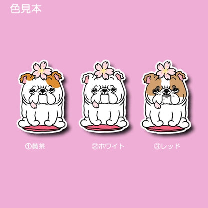 ブルドッグちゃんの春のご挨拶。95-