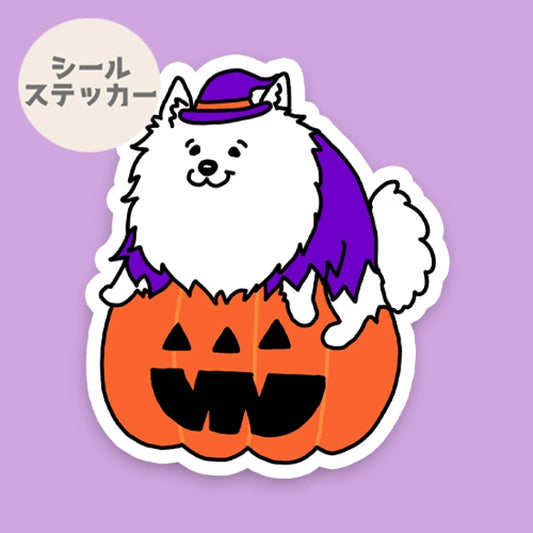オバケカボチャと日本スピッツちゃん。70-