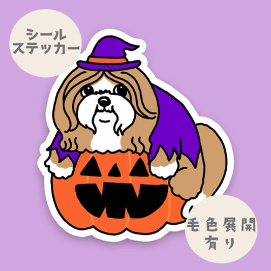 オバケカボチャとラサアプソちゃん。115-
