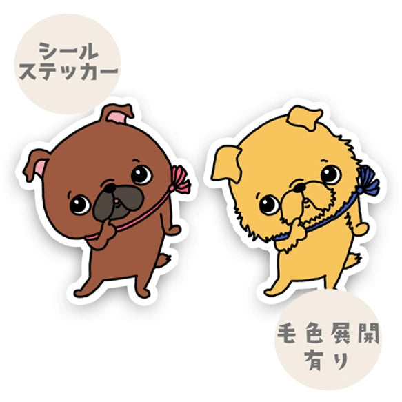 かわいいプチブラバンソンとかわいいグリフォン。86-/92,93-