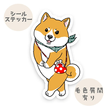 お参りに来たシバちゃん。39-4