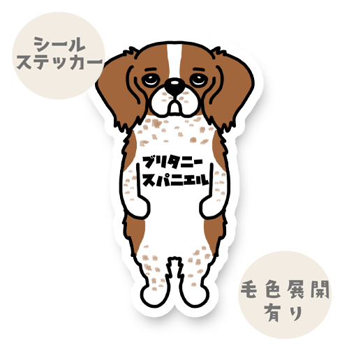 ブリタニースパニエル。125-