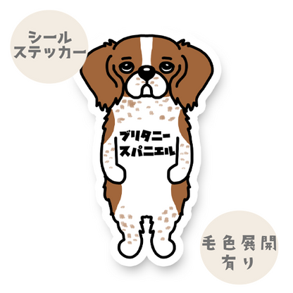 ブリタニースパニエル。125-