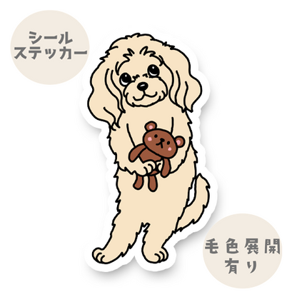 あのねって言ってるキャバチワちゃん。126-1
