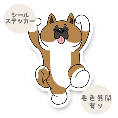 わーい！って喜ぶアメリカンアキタさん。6-5