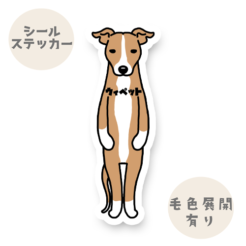 ウィペット。13-1