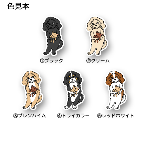 あのねって言ってるキャバチワちゃん。126-1