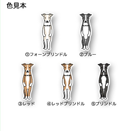 ウィペット。13-1
