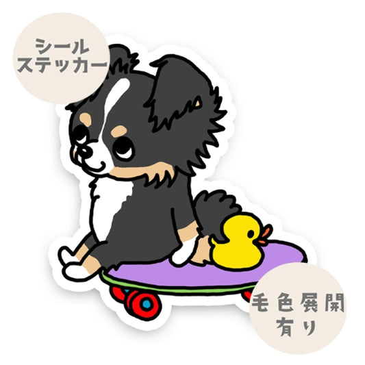 誰か来ないかなーって待ってるチワマルちゃん。63-1