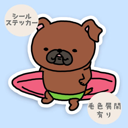 かわいいサーファープチブラバンソン。86-