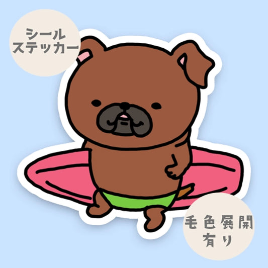 かわいいサーファープチブラバンソン。86-