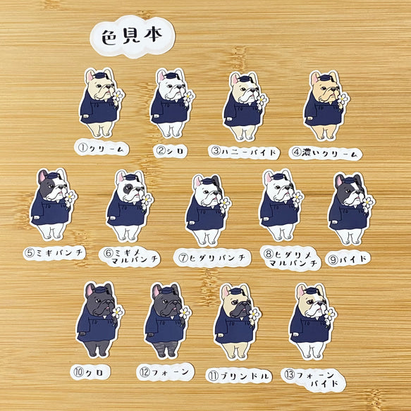 アカデミックガウンのフレブルちゃん。96−241