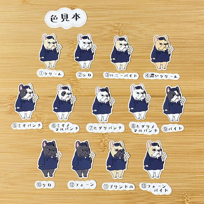 アカデミックガウンのフレブルちゃん。96−241