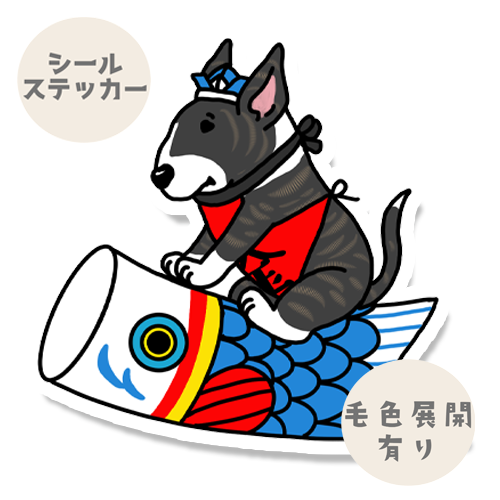端午の節句のブルテリアさん。94-10
