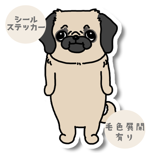 こっち見てるパグペキちゃん。182-4