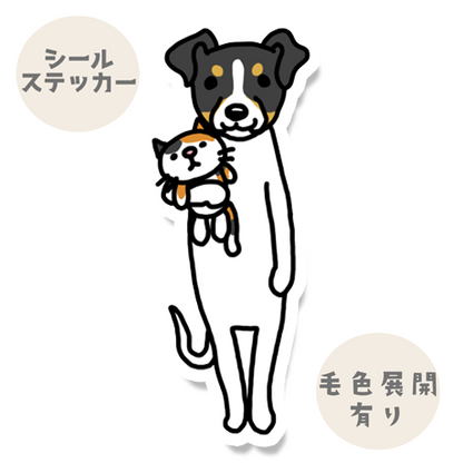 おりこうさんでお留守番してるニホンテリアちゃん。71-4