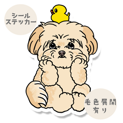 タイクツなポメプーちゃん。103-15