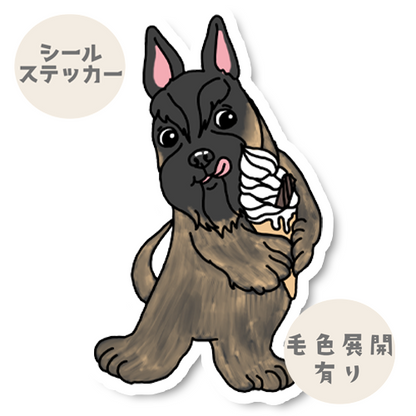 アイス大好きスコッティちゃん。46-4