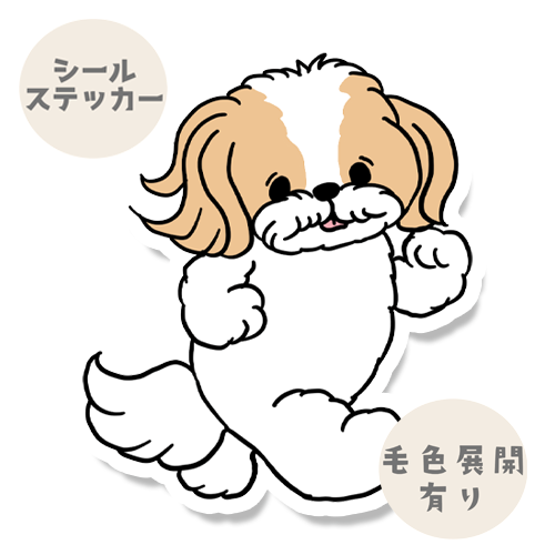 走るマルシーズーちゃん。108-4