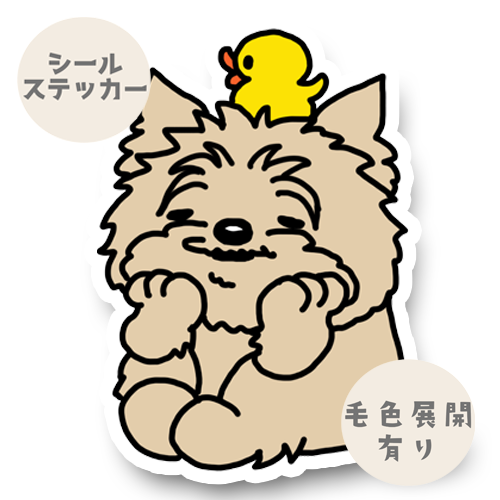 タイクツなケアーンテリアちゃん。29-6