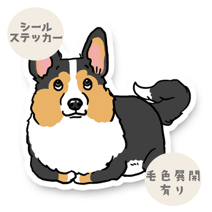 足収納スタイルのカーディガンちゃん。16-10