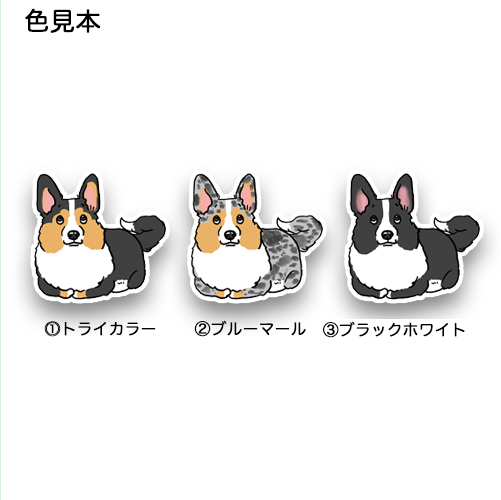 足収納スタイルのカーディガンちゃん。16-10