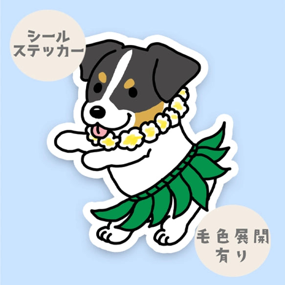 フラジャックラッセルちゃん。42-17